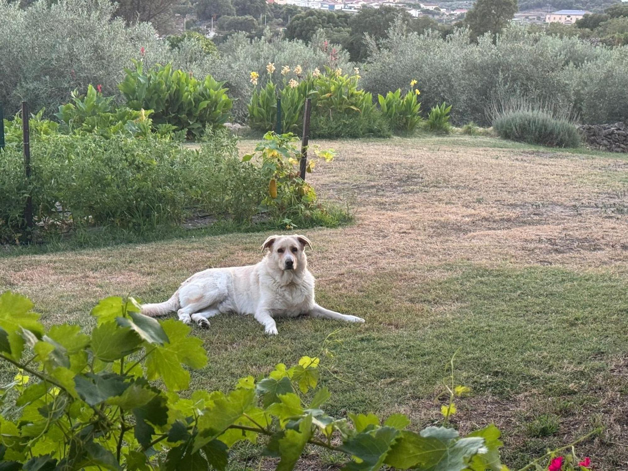 Casa Rural La Recuera Montanchez Luaran gambar