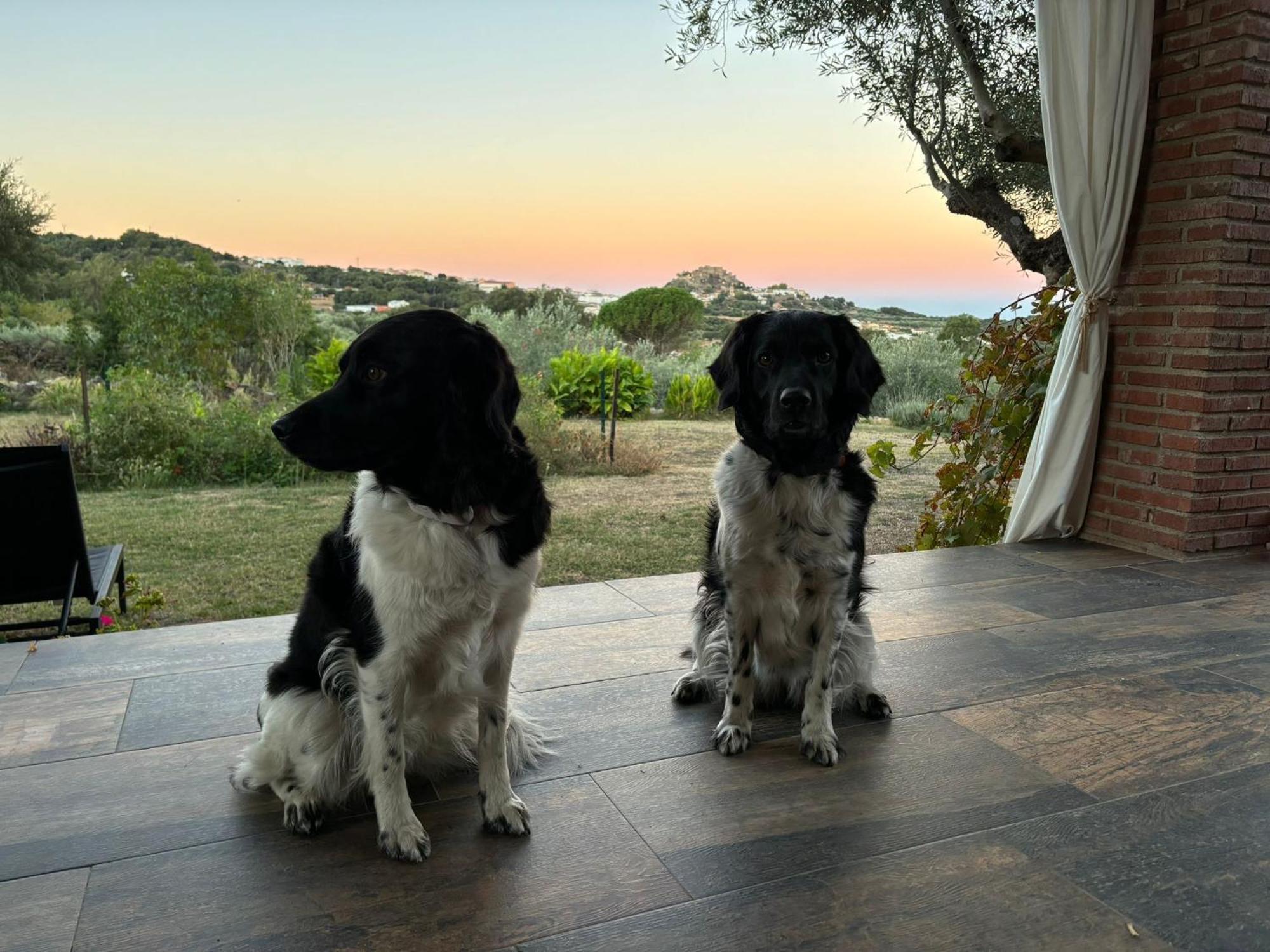 Casa Rural La Recuera Montanchez Luaran gambar